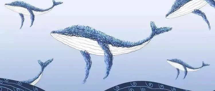 唯美炫彩，线圈插画手绘教程【319期】