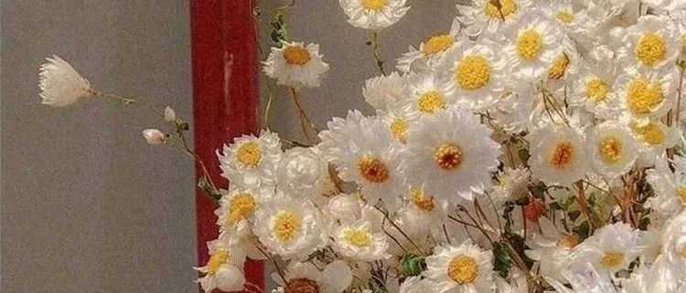 海报色彩实验室训练营【753期】