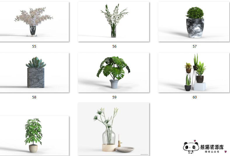 keyshot植物源文件大礼包来啦~ 62个直接用的keyshot植物文件下载【1086期】