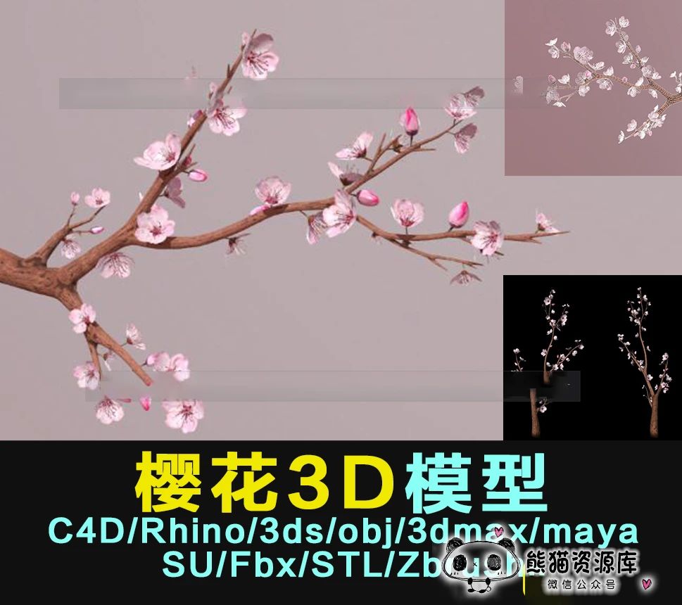 樱花树模型3D模型【1446期】