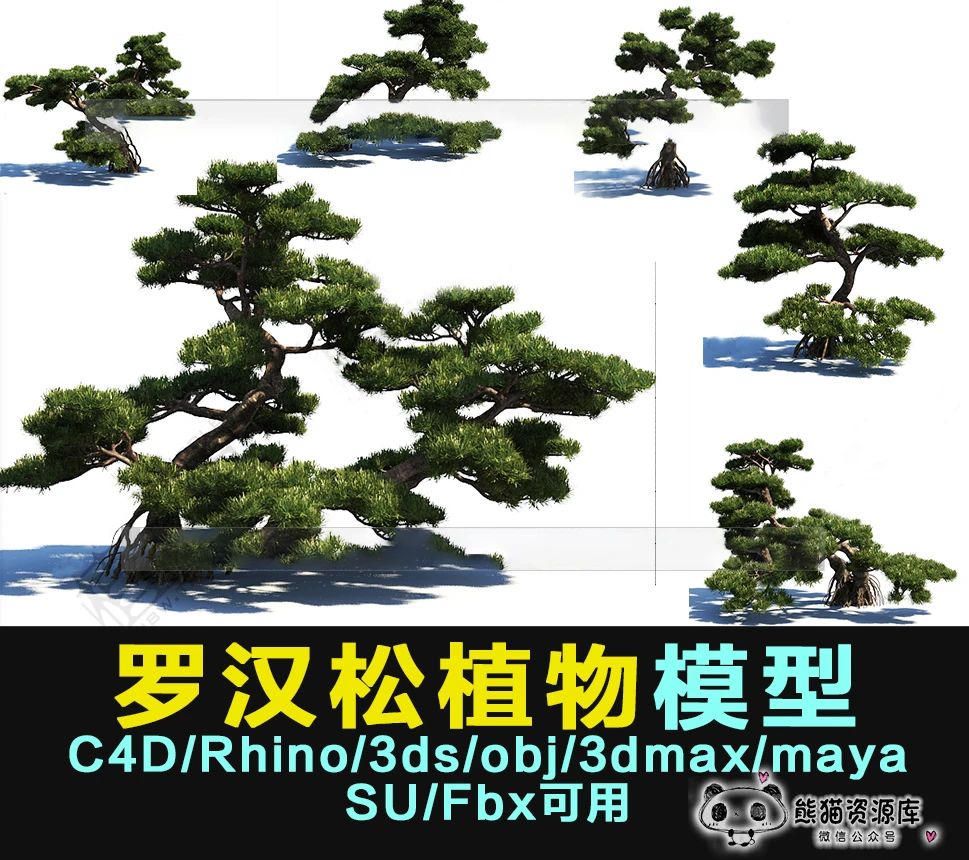 大家需要的罗汉松 园林景观3d植物【1445期】