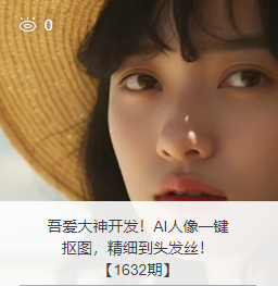 吾爱大神开发！AI人像一键抠图，精细到头发丝！【1632期】