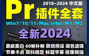pr插件全套中文一键安装包转场效果字幕磨皮调色预设素材模板2024【1849期】