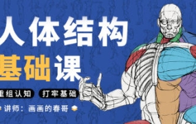 春哥人体结构基础课第十三期【2182期】