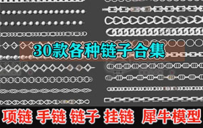 30款 项链 手链 链子 挂链 首饰犀牛模型C4D/3dmax建模渲染素材【1859期】